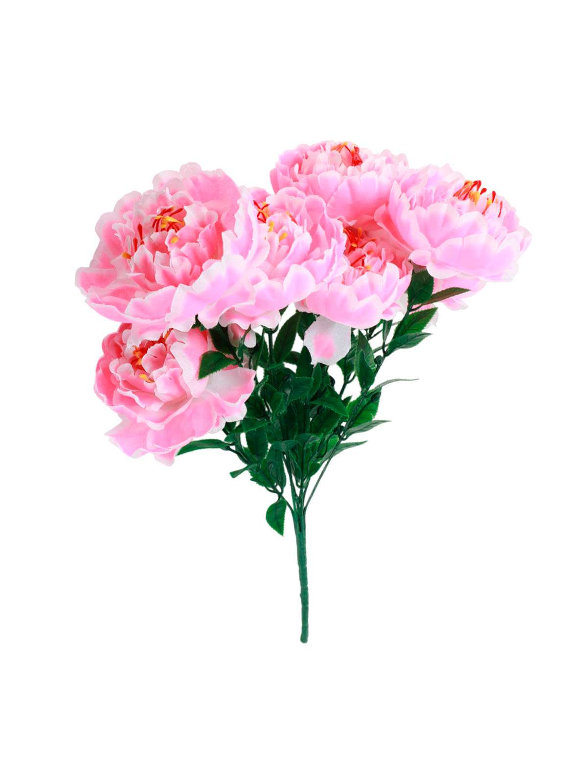 \фото\119889 1.jpg
